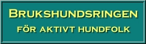 Till Brukshundsringen